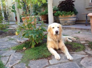 Kalas Marie - what a "Sweetie Girl"!