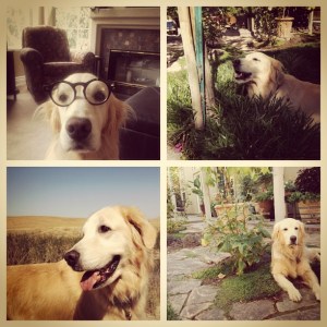 Oh yeah, all right  Take it easy baby  Make it last all night  She was an American girl - Tom Petty