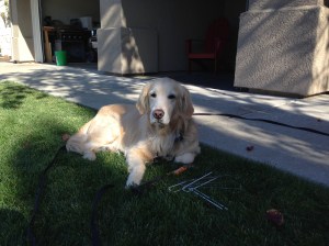 I didn't sign up for this...