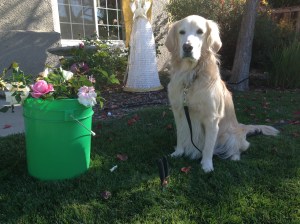 I didn't sign up for this either