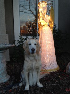 I look good under lights don't I?