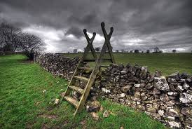 The "back 40" (in my mind)