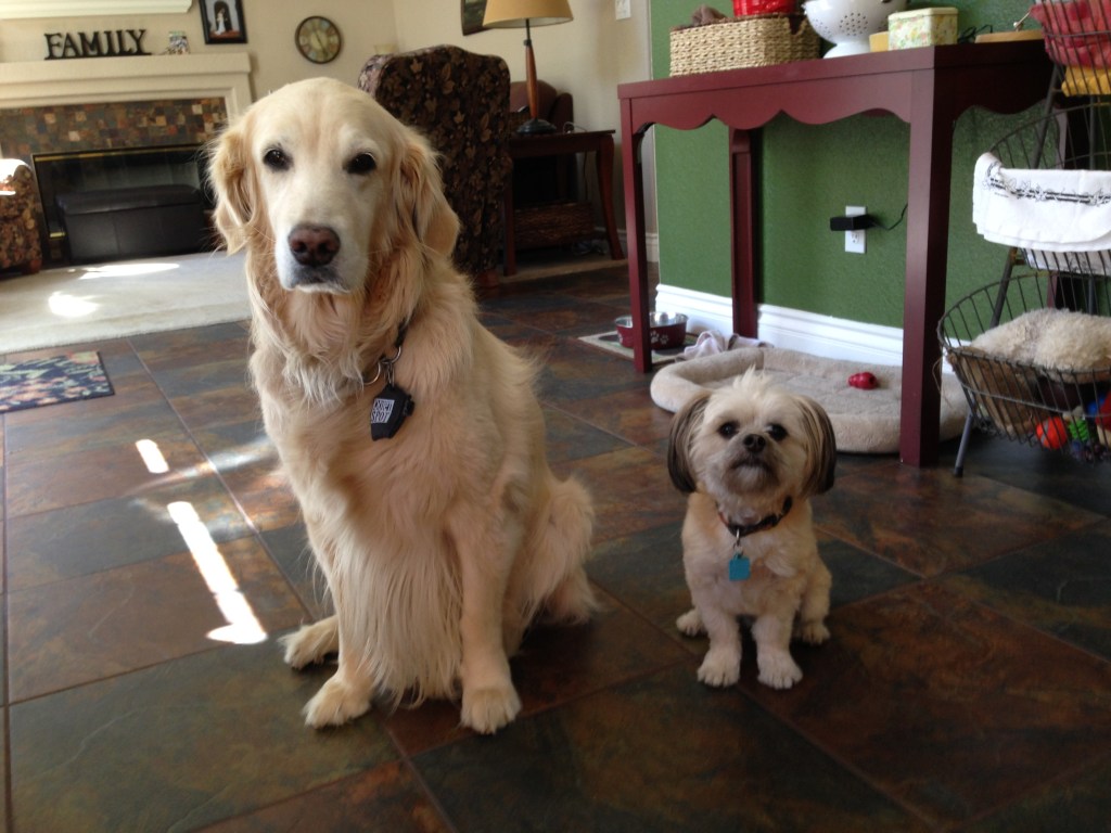 Is love in the air? Because we are pretty much in the right place at the right time!