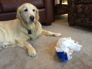 Unwrapped (looks like we got our money's worth)