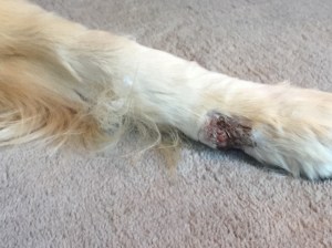 After the procedure and bandages off