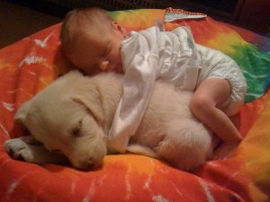 baby-sleeping-on-puppy