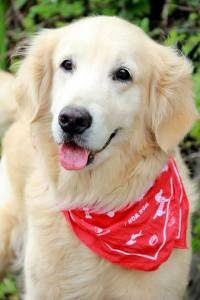 The picture that instantly won our hearts!