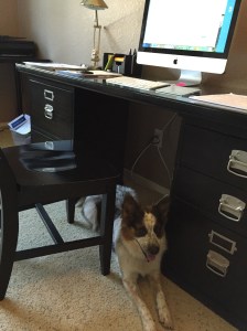 Temporary office staff 