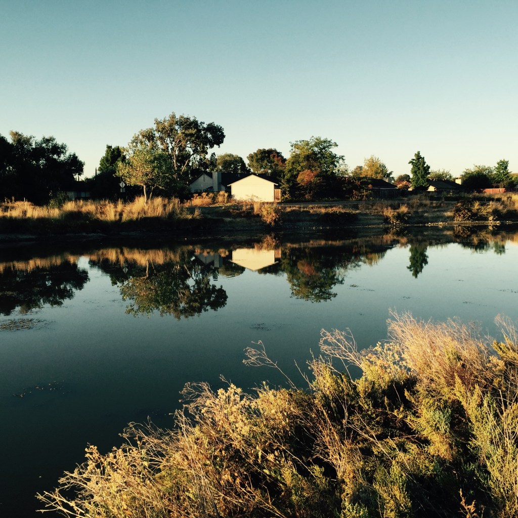 Stopping to "reflect" at the Duck Pond; our turn around point.