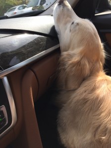 Golden Positioning System