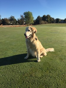 6 foot uphill with a slight break to the left. I've got this.