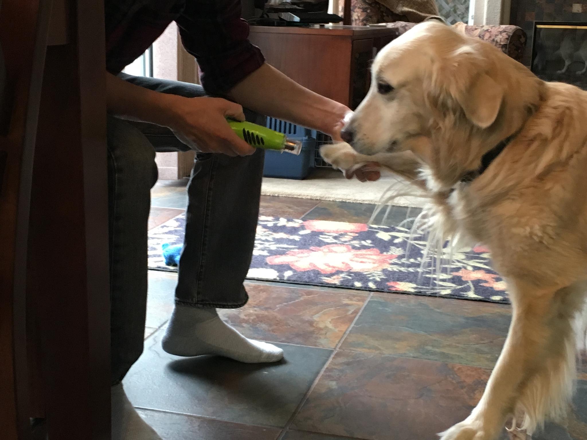 12363168_10204042438976399_5730150192794143655_o